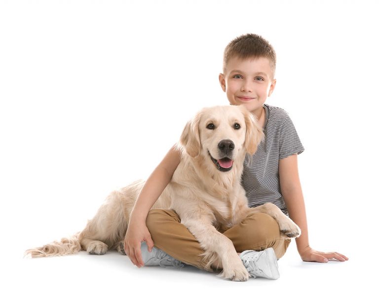 Tiergestützte Therapie mit Therapiehunden Amy und Joko